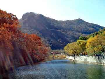 管家婆黑白马报图库，临猗物流